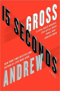 Andrew Gross — 15 Seconds