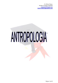 NS Financeira — Microsoft Word - Bacharel 03 - Antropologia.doc