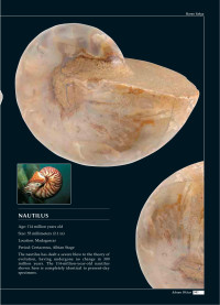 Harun Yahya — Atlas of Creation