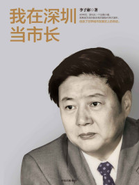 李子彬 [lizibin] — 我在深圳当市长