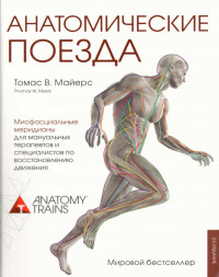 - — Томас_Майерс_Анатомические_поезда_2019