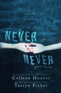 Colleen Hoover & Tarryn Fisher — Never Never: Part Three (Never Never #3)