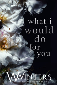 Willow Winters — What I Would Do For You