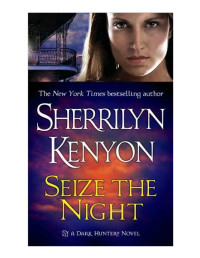 Seize The Night [Night, Seize The] — Dark Hunter 06