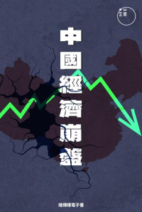 楊楊， 趙傑 等 — 中國經濟崩盤