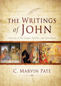 C. Marvin Pate [Pate, C. Marvin] — The Writings of John: A Survey of the Gospel, Epistles, and Apocalypse