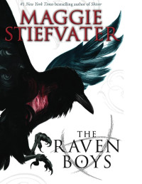 Maggie Stiefvater — The Raven Boys