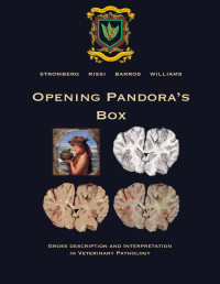 Daniel Rissi, Claudio S.L. Barros, Bruce H. Williams, Paul C. Stromberg — Opening Pandora's Box - Gross Description and Interpretation in Veterinary Pathology