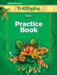 McGraw-Hill [McGraw-Hill] — Reading Triumphs Gr 4 Practice Book
