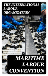 The International Labour Organization — Maritime Labour Convention