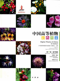 陈又生 — 中国高等植物彩色图鉴 第7卷 玄参科～菊科