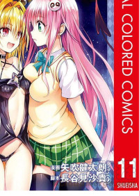 矢吹健太朗 — 出包王女Darkness 第11卷
