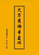 于阗国三藏实叉难陀奉诏制译 — 大方广佛华严经