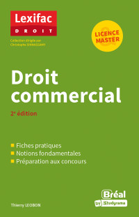 Cours D’anglais Juridique 2024-2025: Grammaire Et Introduction Au Droit ...