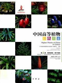 张宪春,成晓 — 中国高等植物彩色图鉴 第2卷 蕨类植物~裸子植物