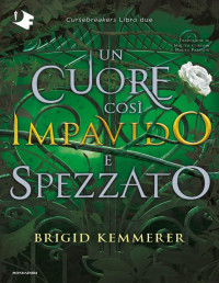 Brigid Kemmerer — Un cuore così impavido e spezzato