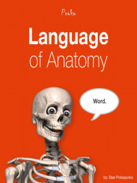 Stan Prokopenko — Proko Language of Anatomy eBook