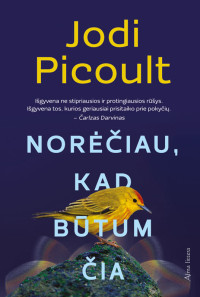 Jodi Picoult — Norėčiau, kad būtum čia