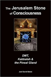 Joel David Bakst — The Jerusalem Stone of Consciousness: DMT, Kabbalah and the Pineal Gland