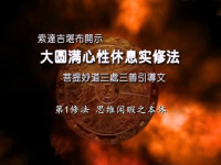 全知无垢光尊者，索达吉堪布 — 前行实修法