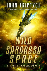 John Triptych — Wild Sargasso Space