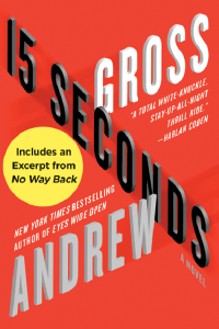 Andrew Gross — 15 Seconds