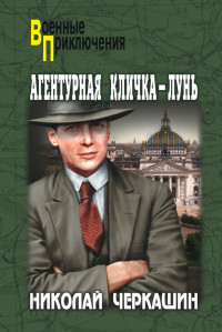 Николай Андреевич Черкашин — Агентурная кличка – Лунь (сборник)