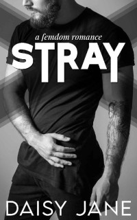 Daisy Jane — Stray