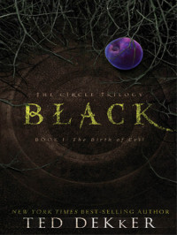 Ted Dekker — Black