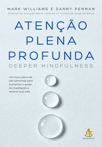 Mark Williams e Danny Penman — Atenção plena profunda