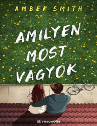 Amber Smith — Amilyen most vagyok
