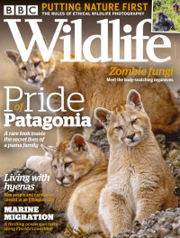 BBC — BBC Wildlife - october 2020