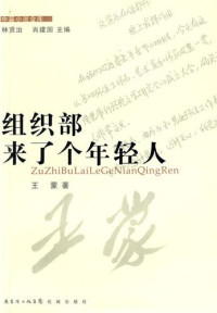 王蒙 — 组织部来了个年轻人