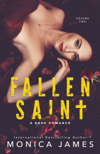 Monica James  — Fallen Saint (All The Pretty Things Trilogy #2)