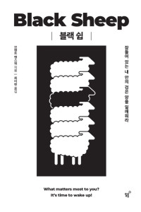 브랜트 멘스워 — 블랙 쉽