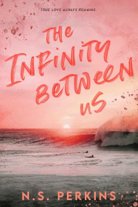 N.S. Perkins — The Infinity Between Us