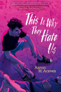 Aaron H. Aceves — This Is Why They Hate Us