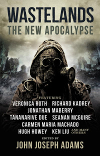 Андерсон Мэтью — Wastelands: The New Apocalypse