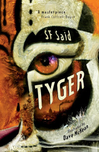 SF Said, Dave McKean — Tyger