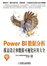 金立钢 — Power BI数据分析：报表设计和数据可视化应用大全