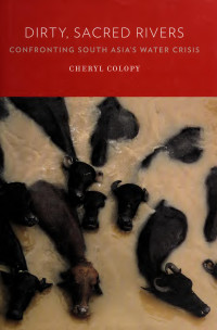 Cheryl Colopy — Dirty, Sacred Rivers