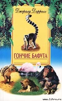 Джеральд Даррел — Гончие Бафута