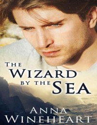 Anna Wineheart [Wineheart, Anna] — The Wizard by the Sea