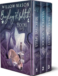 Willow Mason — Beezley and the Witch series Box Set
