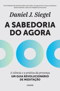 Daniel J. Siegel — A Sabedoria do Agora: A Ciência e a prática da presença - um guia revolucionário de meditação