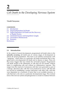 Vinodh Narayanan — Chapter 02: Cell Death in the Developing Nervous System