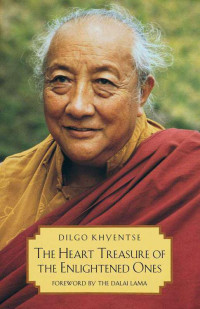 Khyentse Rinpoche, Dilgo & Patrul Rinpoche — The Heart Treasure of the Enlightened Ones: The Practice of View, Meditation, and Action