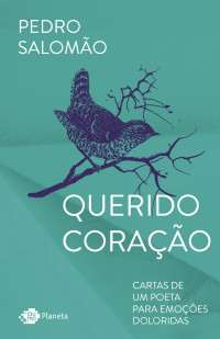 Pedro Salomão — Querido coração: Cartas de um poeta para emoções doloridas