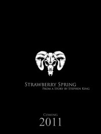 Stephen King [King, Stephen] — Strawberry Spring