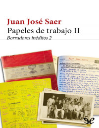 Juan José Saer — Papeles De Trabajo II